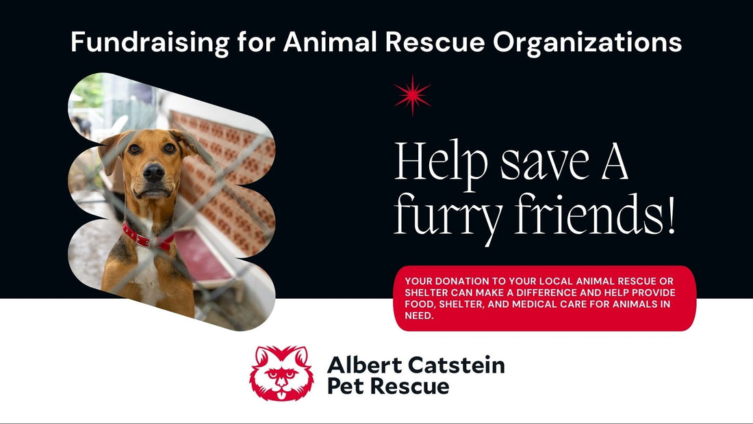 Fundraising for Animal Rescue Organizations
