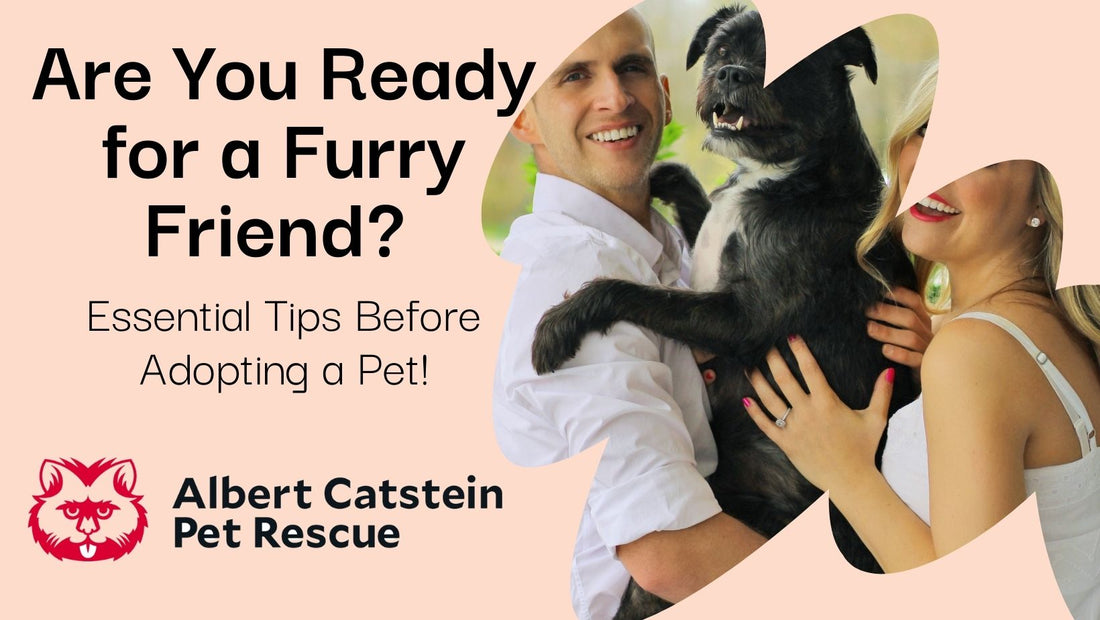 Bringing Home a Furry Friend: Things to Consider Before Adopting a Pet!
