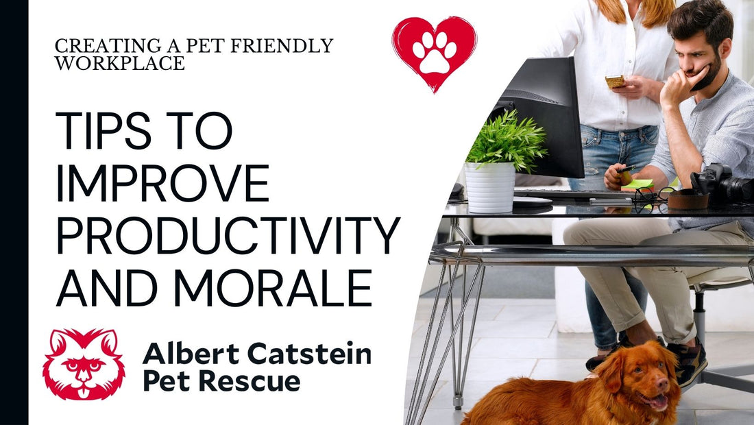 Unleashing Productivity: How Making Your Workplace Dog-Friendly Boosts Employee Engagement