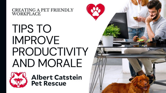 Unleashing Productivity: How Making Your Workplace Dog-Friendly Boosts Employee Engagement