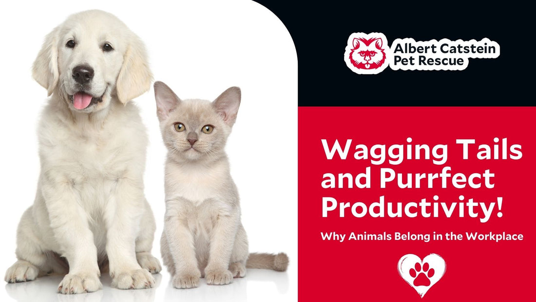 Wagging Tails and Purrfect Productivity: Why Animals Belong in the Workplace