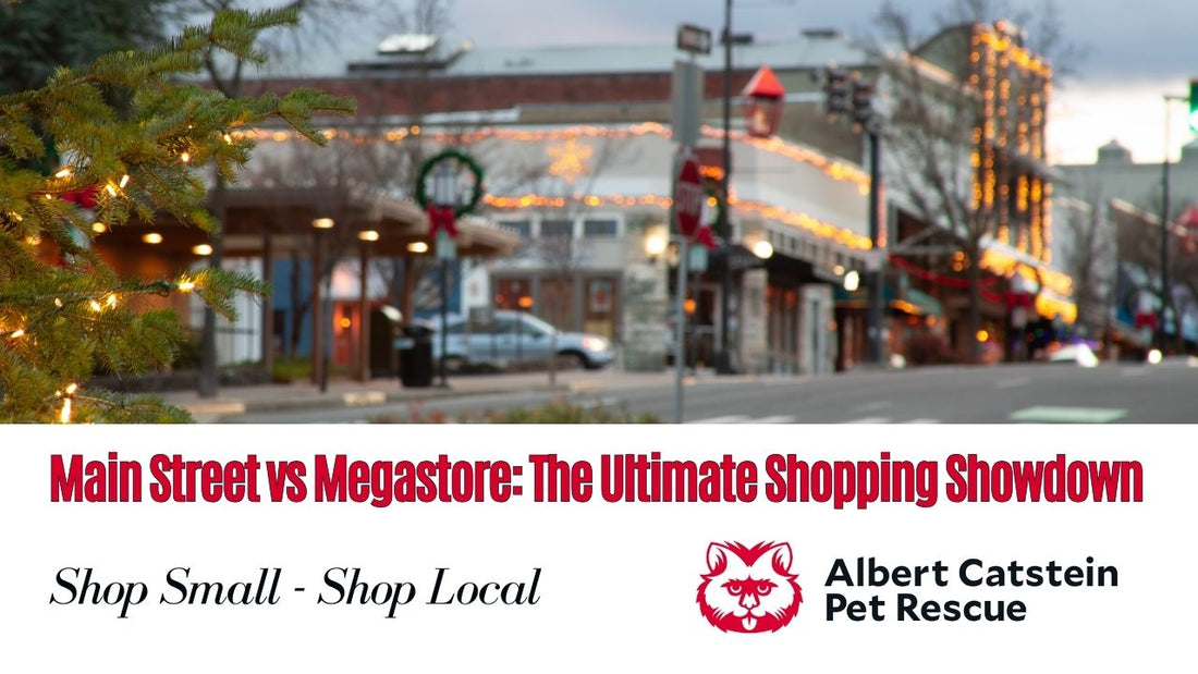 Main Street vs. Megastore: The Showdown for Your Shopping Dollars