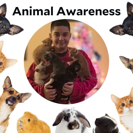 Spreading Awareness: Educating Others About Animal Welfare