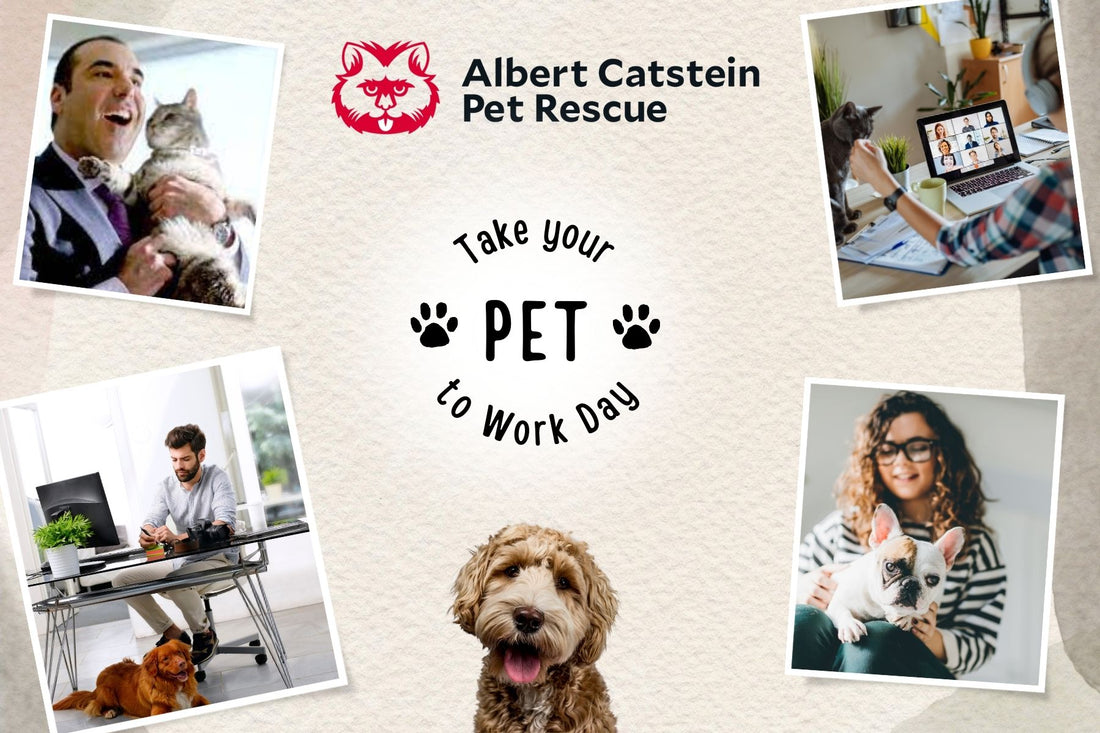 Working with Animals: Unleashing Happiness and Productivity