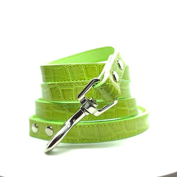 Crocodile Leash