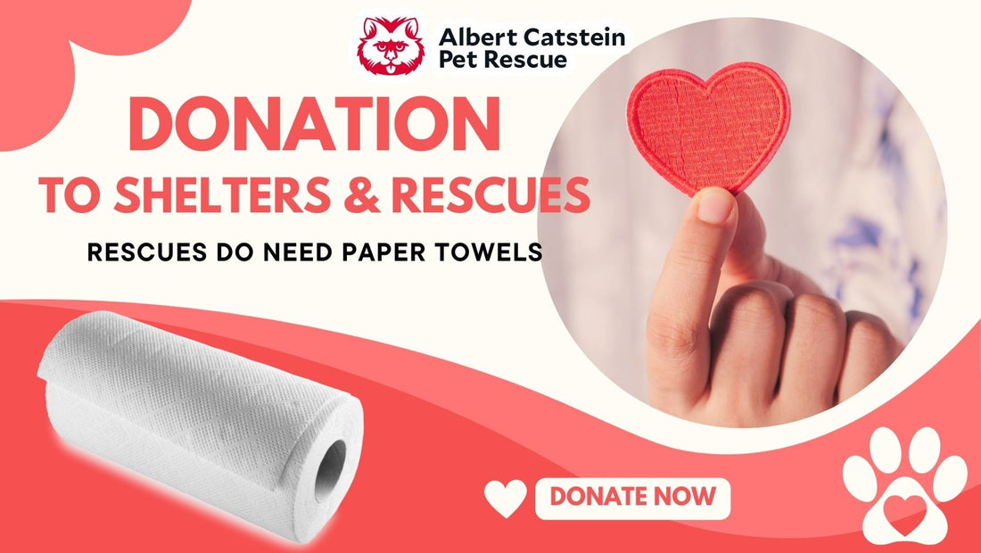 You're Right: Animal Rescues Do Need Paper Towels!