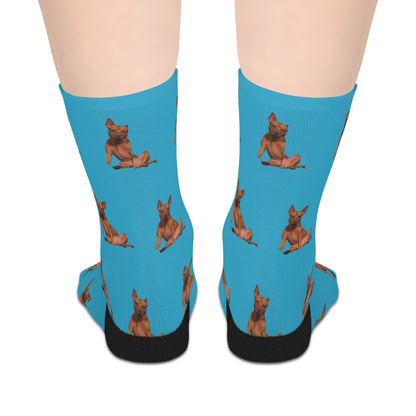 Custom Photo Mid-length Socks | Personalized Pet or Portrait on Turquoise