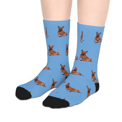Custom Photo Mid-length Socks | Personalized Pet or Portrait on Light Blue