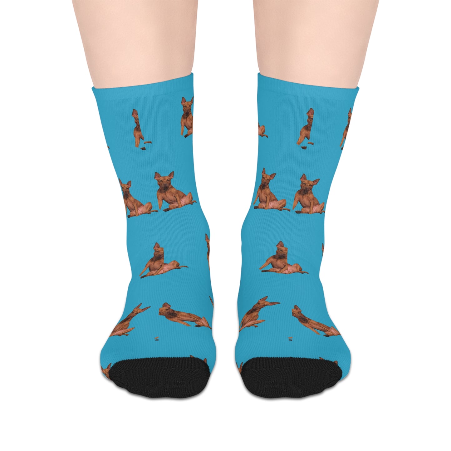Custom Photo Mid-length Socks | Personalized Pet or Portrait on Turquoise