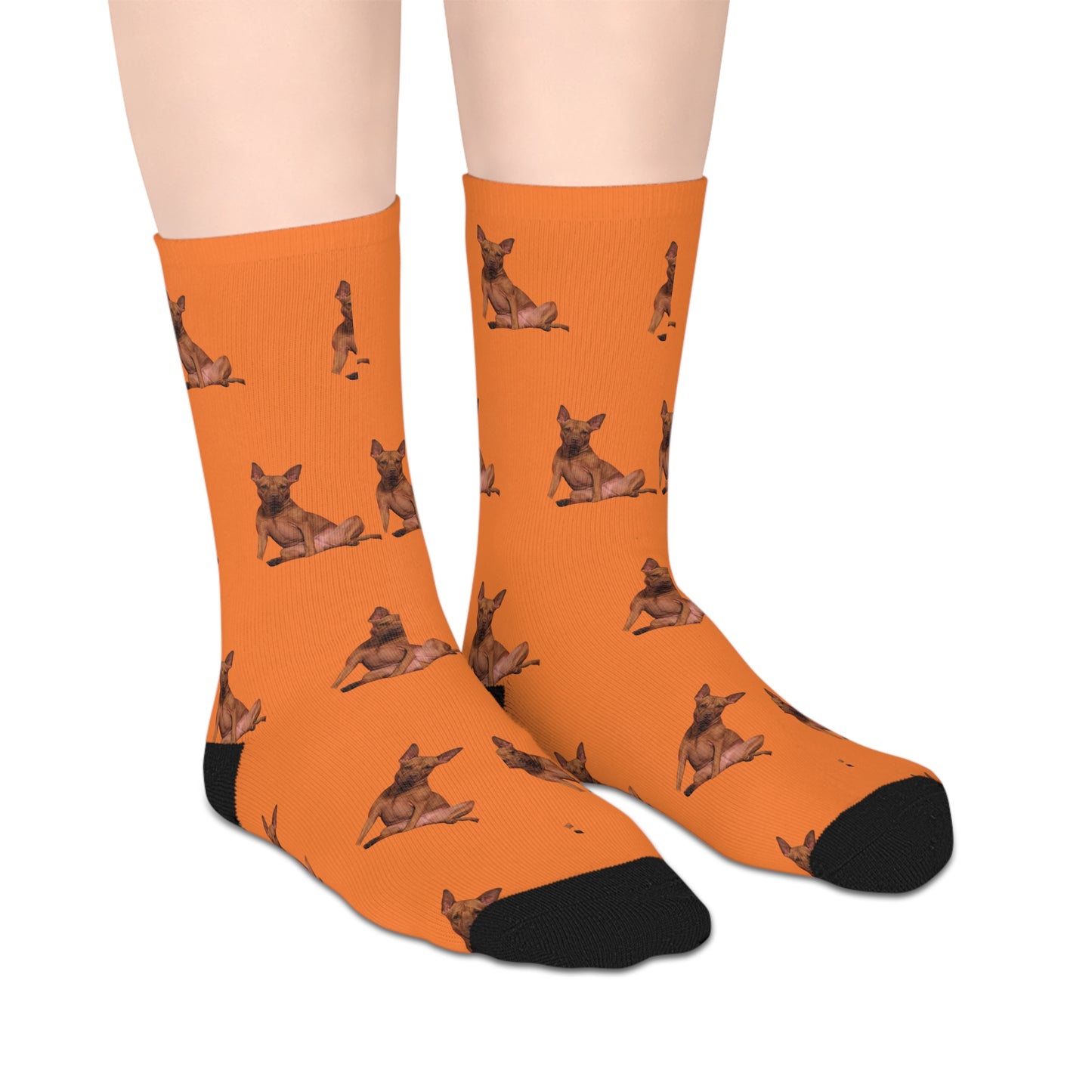 Custom Photo Mid-length Socks | Personalized Pet or Portrait on Crusta