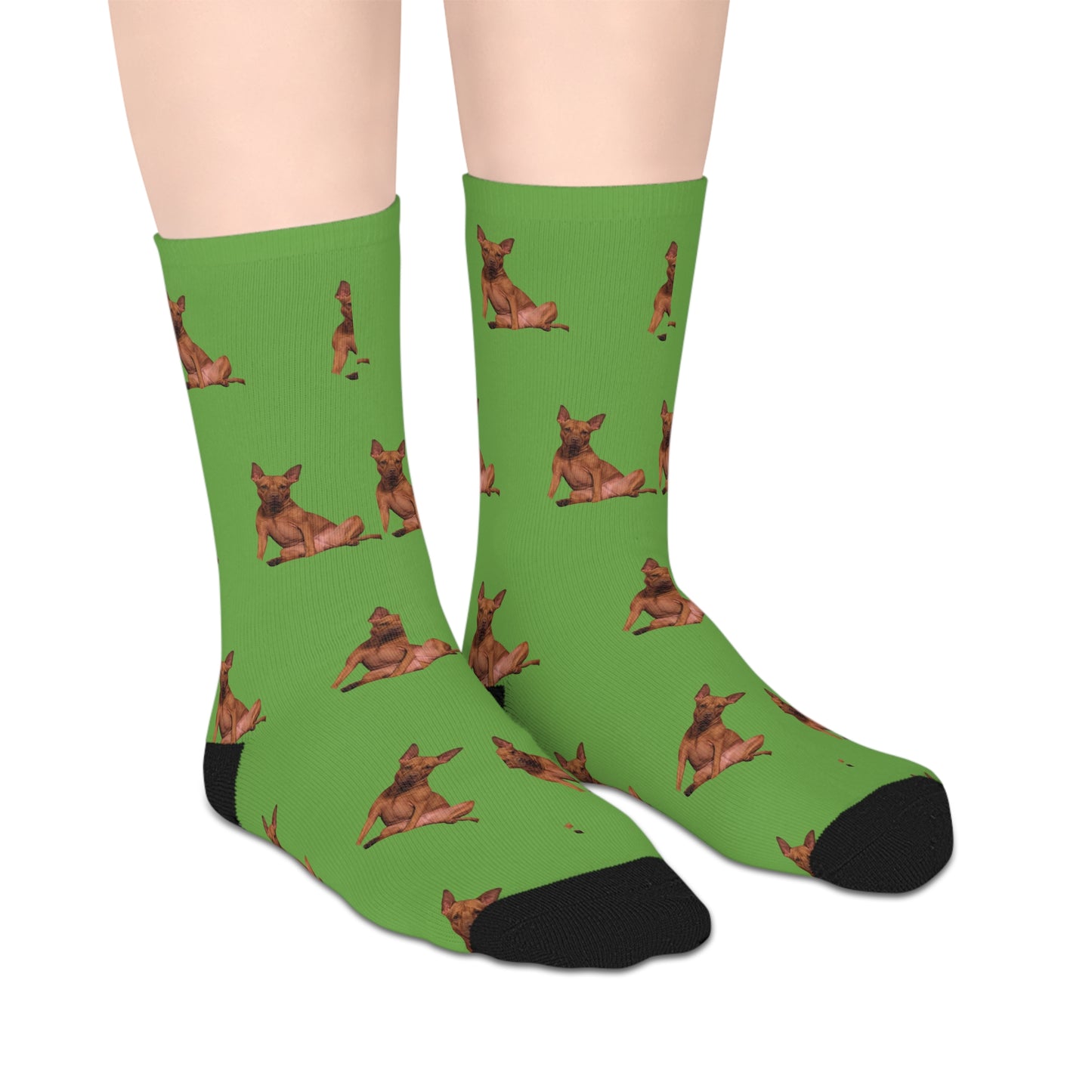 Custom Photo Mid-length Socks | Personalized Pet or Portrait on Light Green