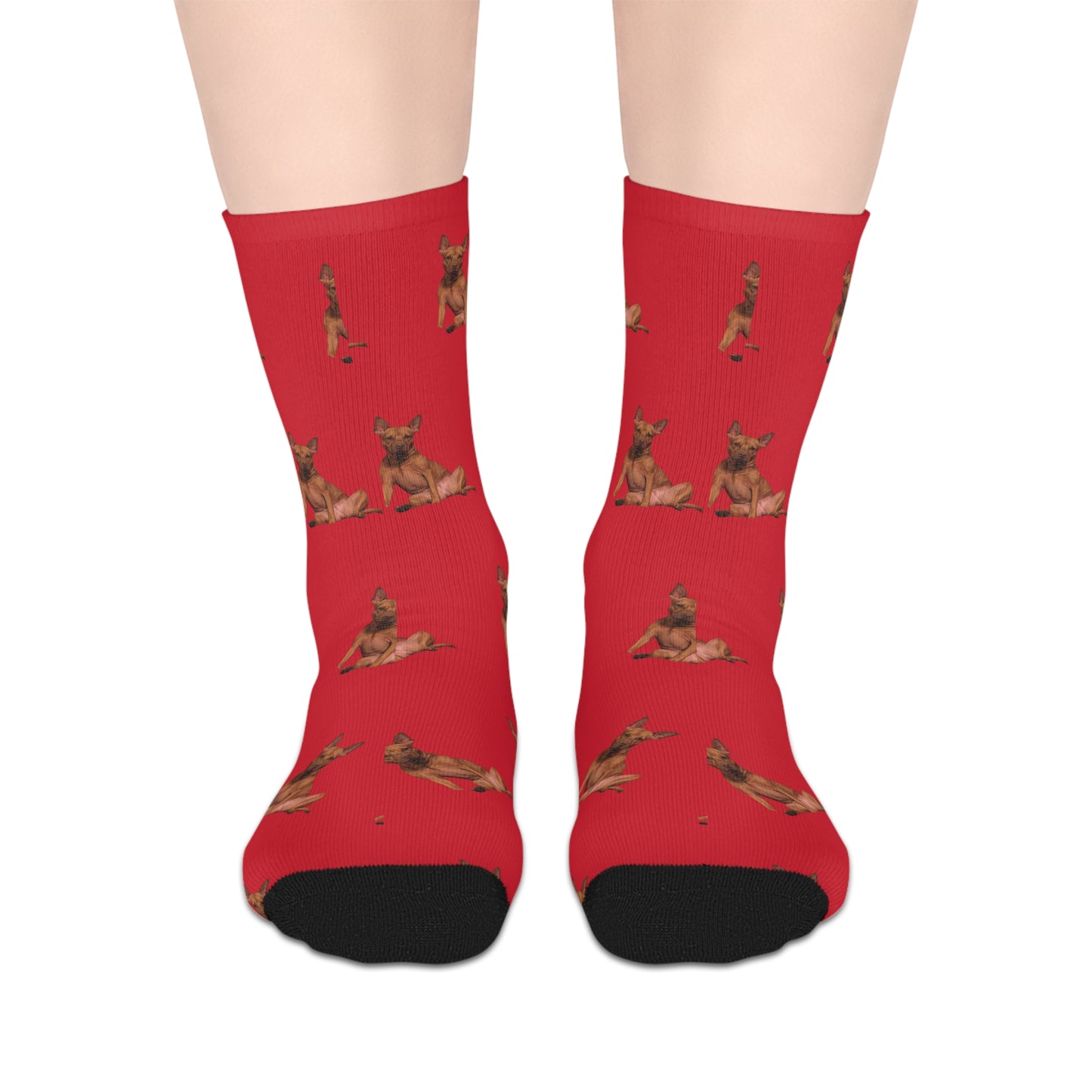 Custom Photo Mid-length Socks | Personalized Pet or Portrait on Red