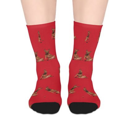 Custom Photo Mid-length Socks | Personalized Pet or Portrait on Red