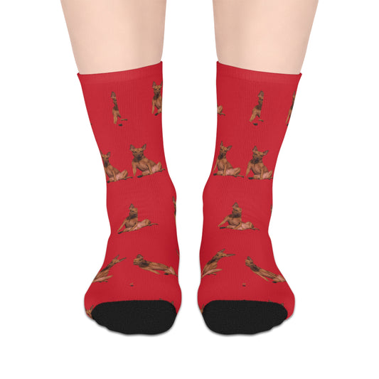 Custom Photo Mid-length Socks | Personalized Pet or Portrait on Red