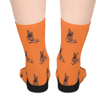 Custom Photo Mid-length Socks | Personalized Pet or Portrait on Crusta