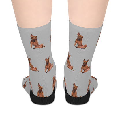 Custom Photo Mid-length Socks | Personalized Pet or Portrait on Grey