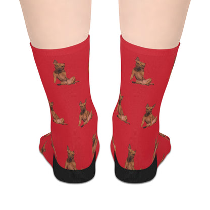 Custom Photo Mid-length Socks | Personalized Pet or Portrait on Red