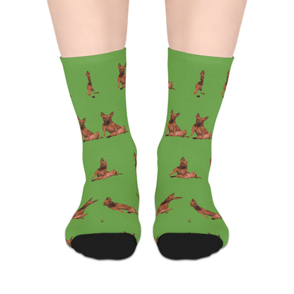 Custom Photo Mid-length Socks | Personalized Pet or Portrait on Light Green