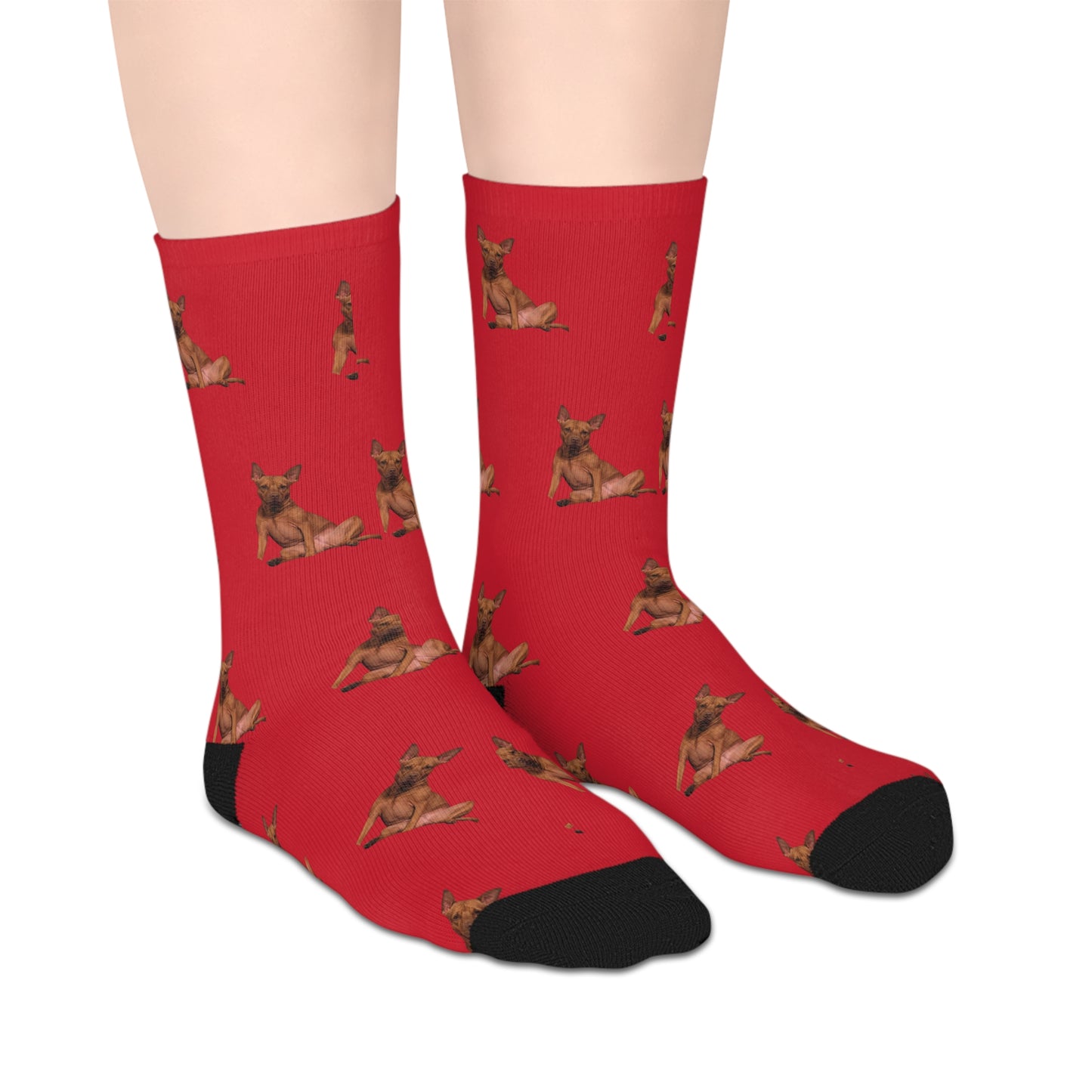 Custom Photo Mid-length Socks | Personalized Pet or Portrait on Red