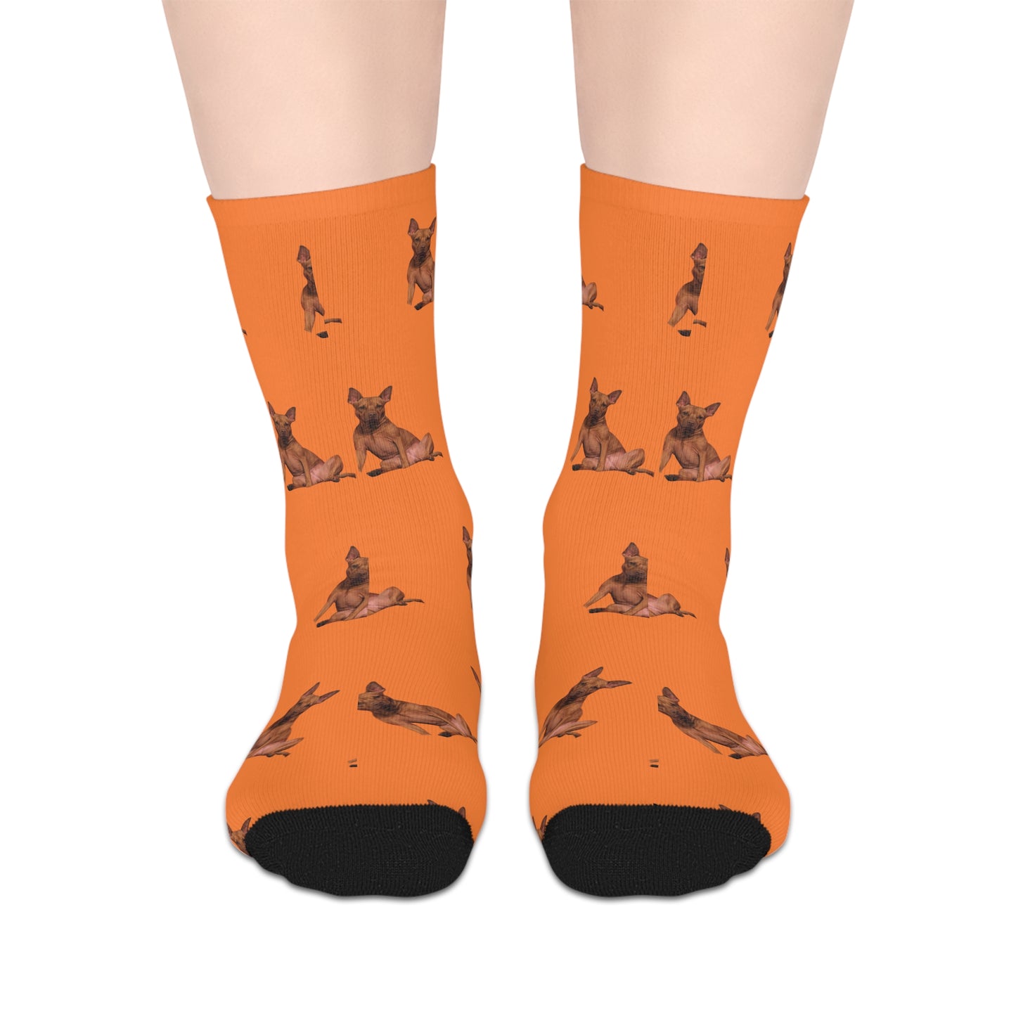 Custom Photo Mid-length Socks | Personalized Pet or Portrait on Crusta