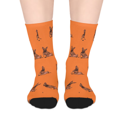 Custom Photo Mid-length Socks | Personalized Pet or Portrait on Crusta