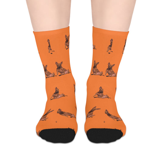 Custom Photo Mid-length Socks | Personalized Pet or Portrait on Crusta