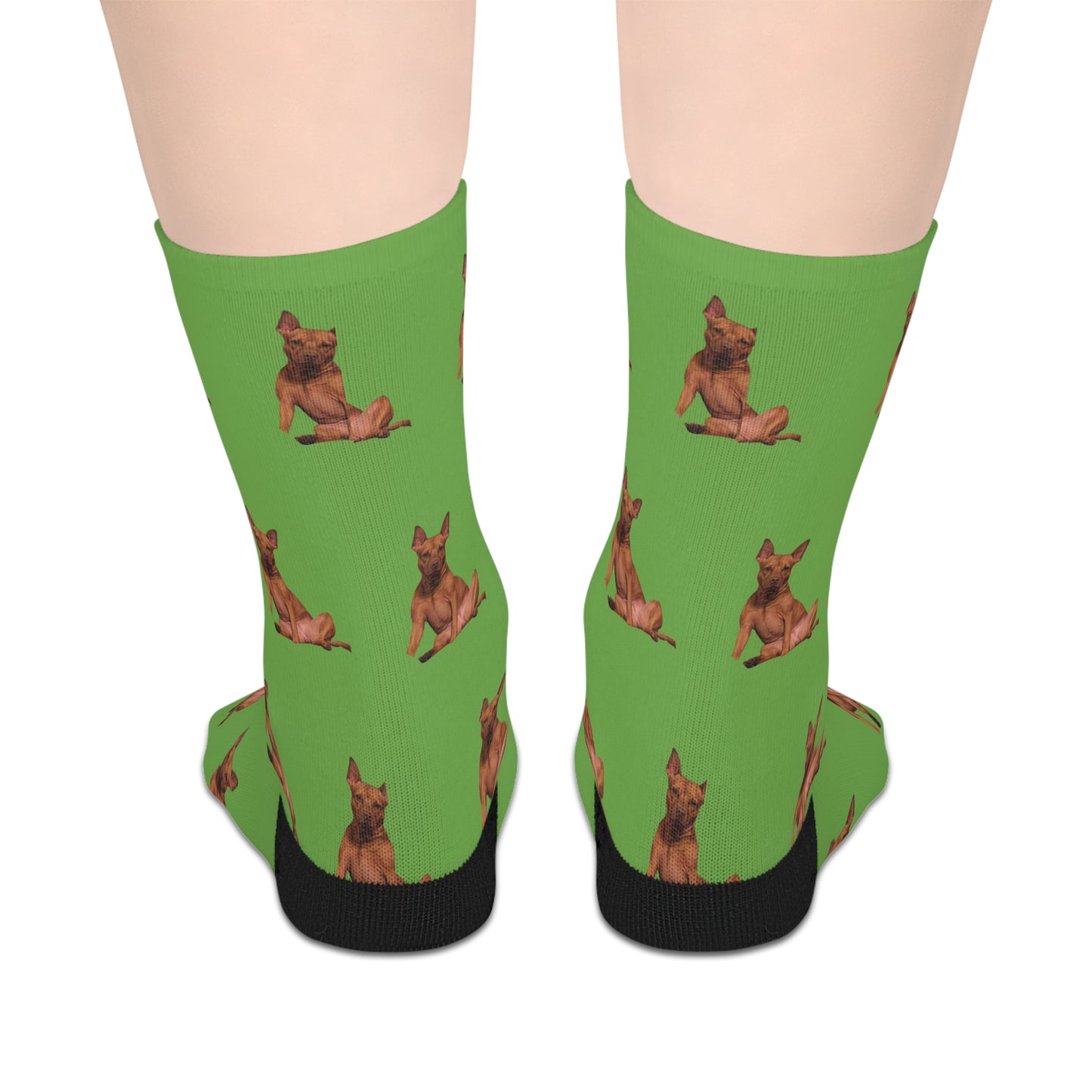 Custom Photo Mid-length Socks | Personalized Pet or Portrait on Light Green