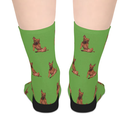 Custom Photo Mid-length Socks | Personalized Pet or Portrait on Light Green