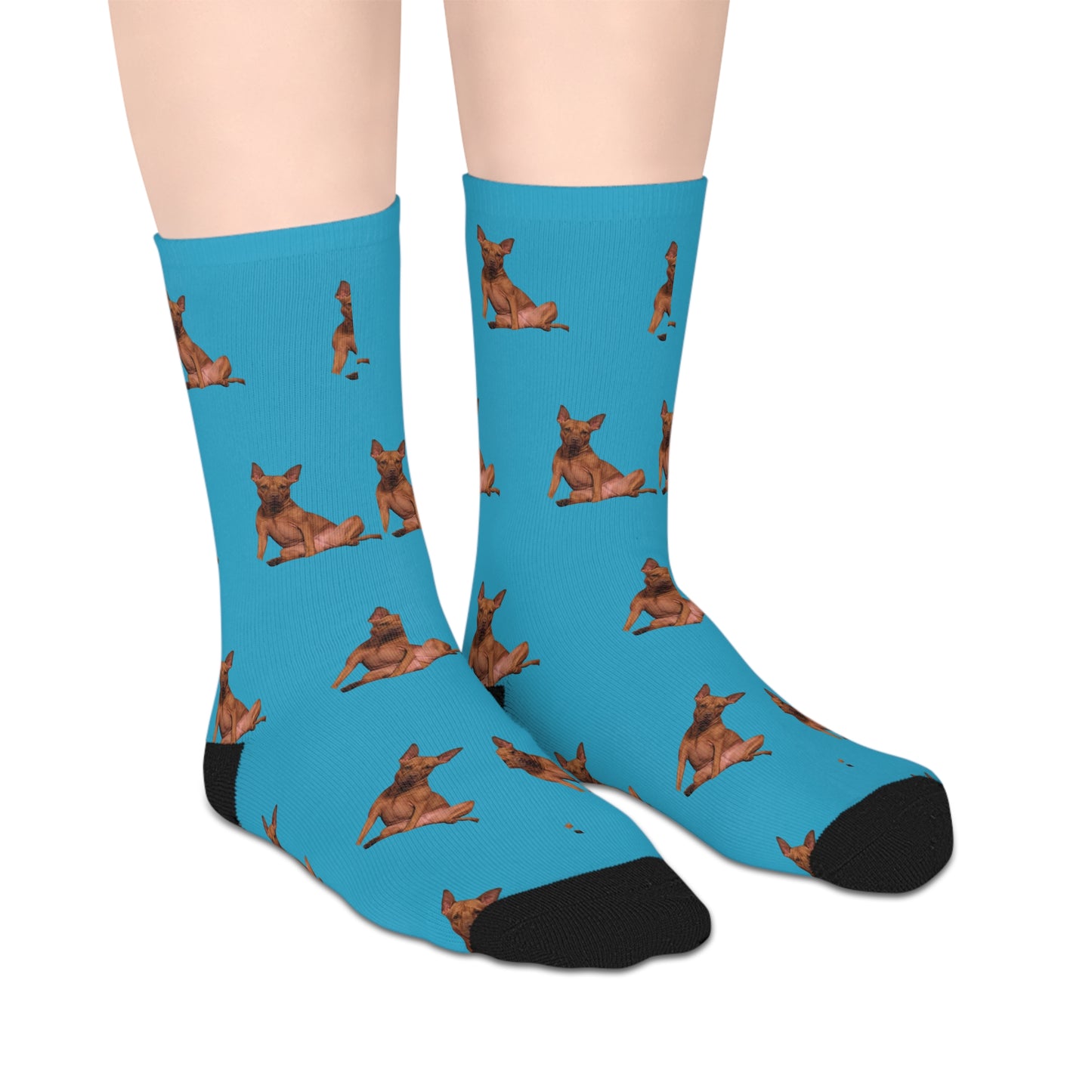 Custom Photo Mid-length Socks | Personalized Pet or Portrait on Turquoise