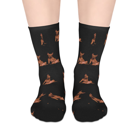 Custom Photo Mid-length Socks | Personalized Pet or Portrait on Black